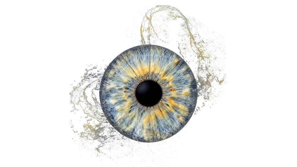 Iris-Motiv 04