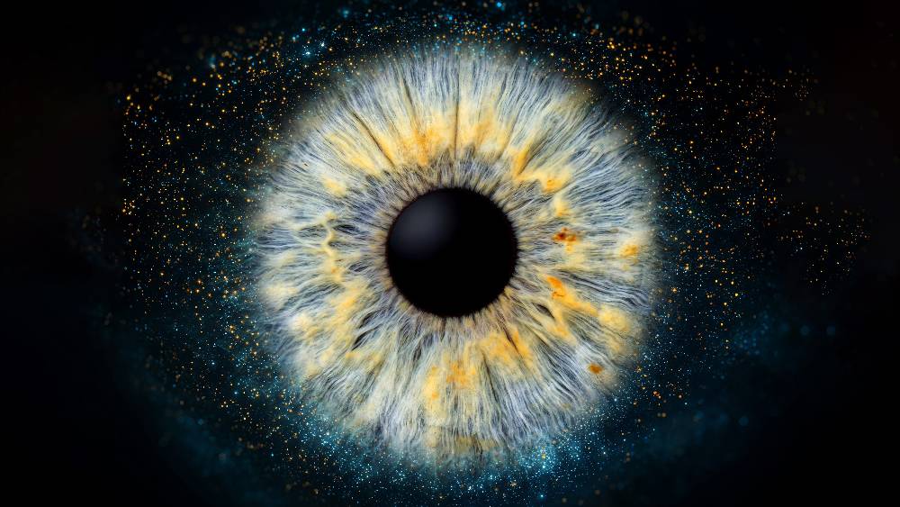 Iris-Komposition mit vier Motiven